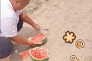 卖瓜夫妻隔栅栏免费给学生投喂西瓜：孩子们开心最重要
