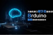 为脑机接口初学者量身定制 Brduino脑机模组即将震撼发布