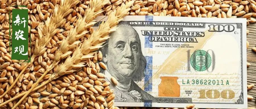 俄罗斯一变天,国际小麦又涨了!但很多人没发现,另一风险也快来了