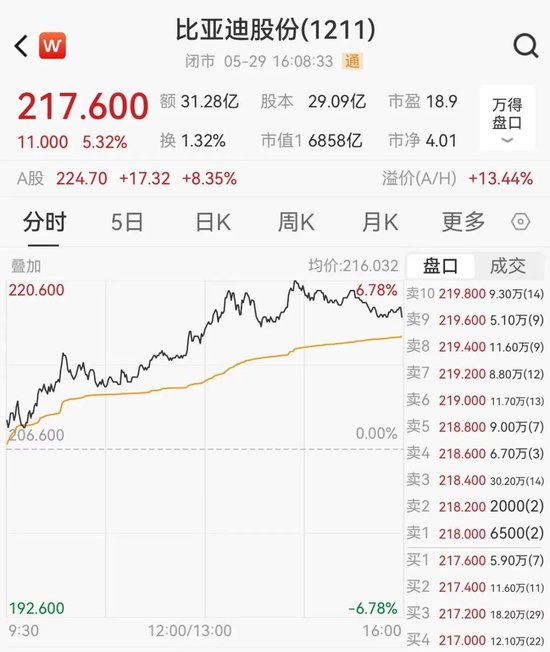 比亚迪,逆市大涨!