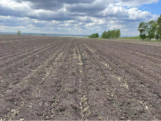 新浪期货黑龙江地区大豆、玉米调研(北安、黑河)