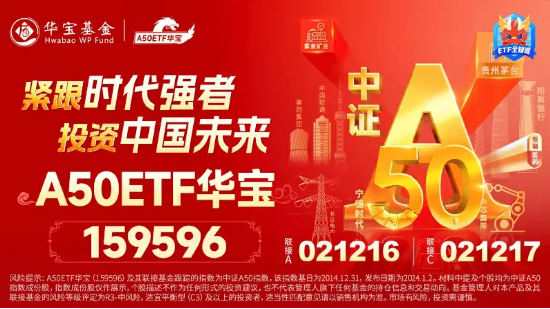 资金逆市揽筹,龙头宽基A50ETF华宝(159596)5月大举吸金3.52亿元!高盛:当前或是入市好时机