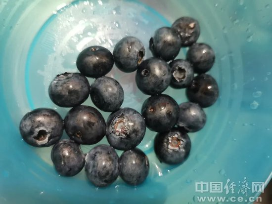 蓝莓降价!“以前论克卖,现在按斤卖”