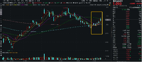 业绩“点赞”!洛阳钼业归母净利预增6-7倍,黄金个股业绩预喜,有色龙头ETF(159876)盘中逆市上探1.57%