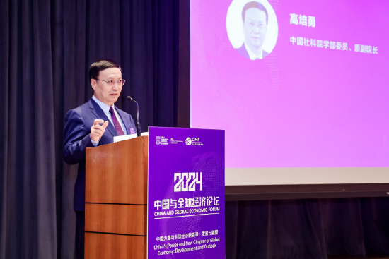 高培勇:当前只有居民和企业预期稳定信心增强,消费和投资需求不足的问题才可随之化解