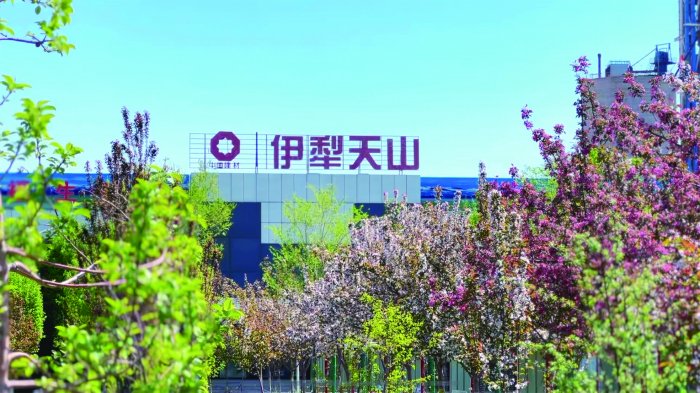 天山股份:“水泥+”阔步绿色化新征途