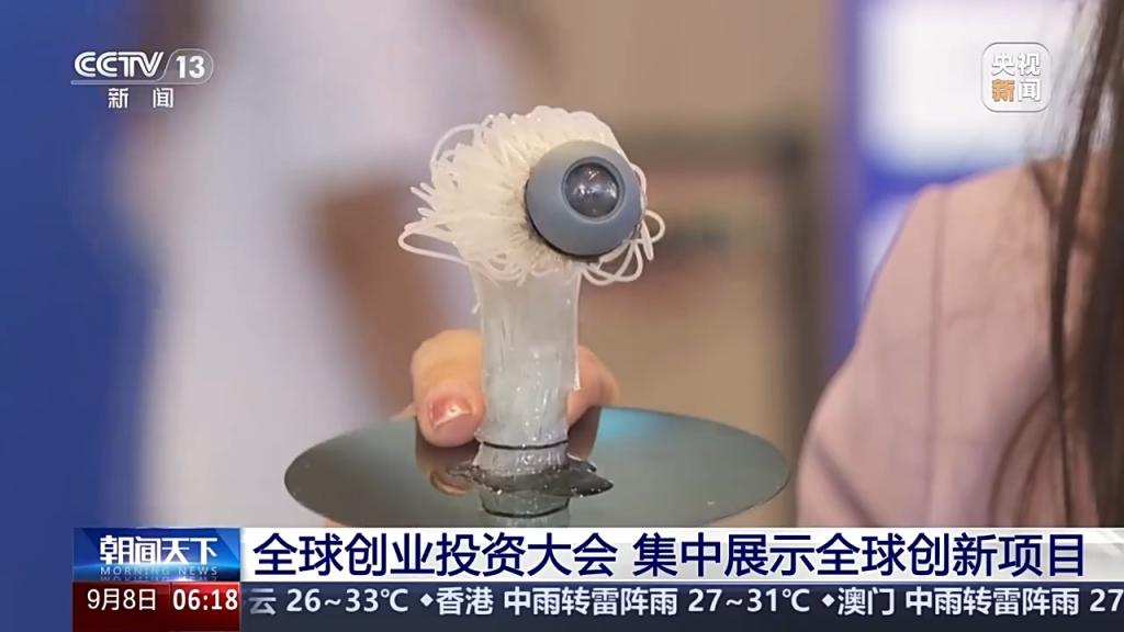 全球首个3D仿生眼成像有多逼真?来这个论坛一探究竟